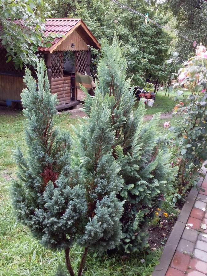 Лісова Хатинка Leilighet Kelechin Eksteriør bilde